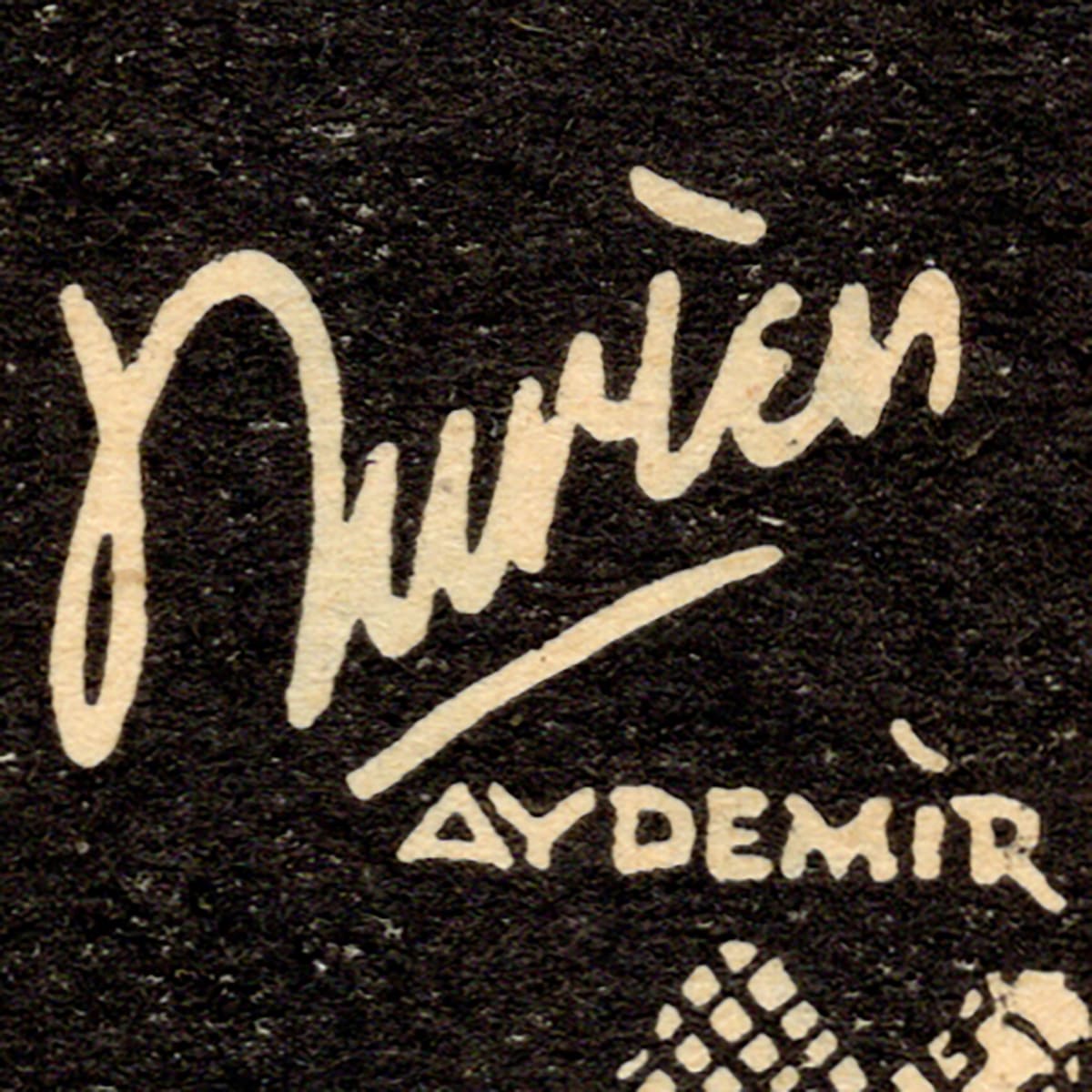 Nurten Aydemir