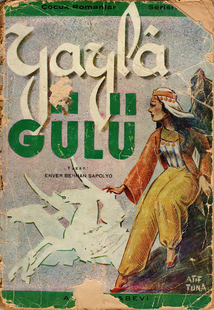 Yaylâ Gülü, Akay Kitabevi, Kitap Kapağı